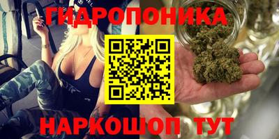 прущая мука Кандалакша