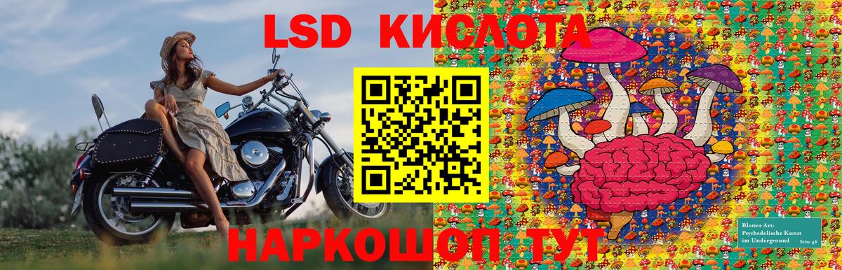 Волоколамск  Наркотические марки 1,5мг  Марки N-bome  Вход с VPN 