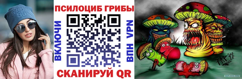 даркнет состав  omg зеркало  Волоколамск  Галлюциногенные грибы Psilocybe 