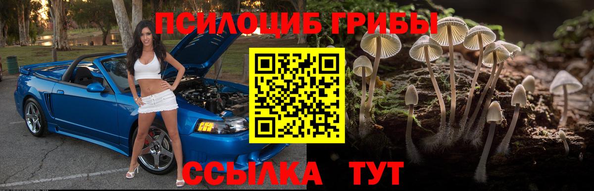 Волоколамск  Галлюциногенные грибы Psilocybe  Вход с VPN 