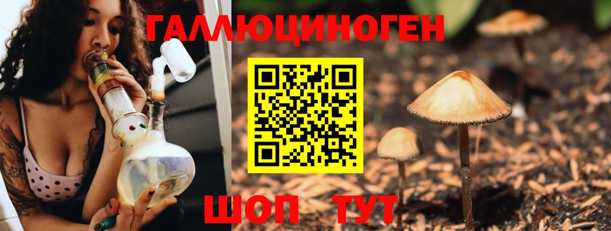 Галлюциногенные грибы мицелий Волоколамск