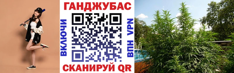 Бошки Шишки планчик  гидра зеркало  darknet наркотические препараты  Волоколамск 